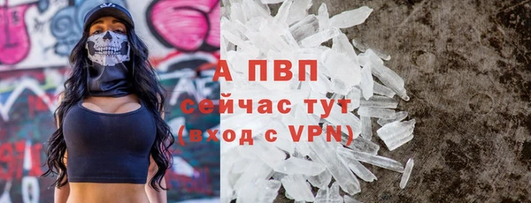 spice Арсеньев
